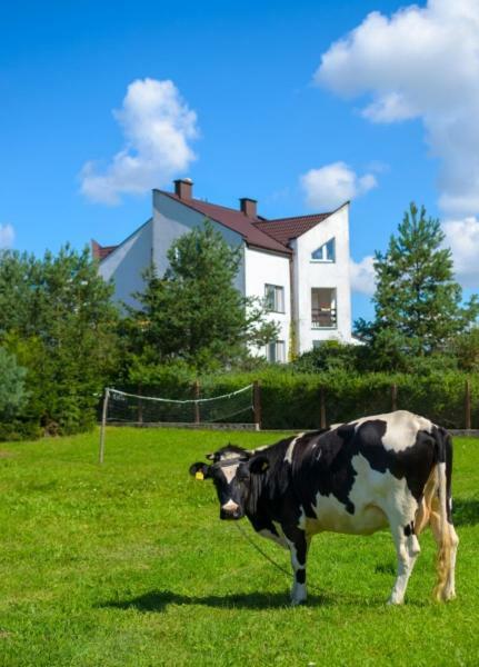 Gospodarstwo Agroturystyczne Jacwing Villa Giby Exterior photo